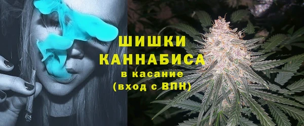 ГАЛЛЮЦИНОГЕННЫЕ ГРИБЫ Лиски