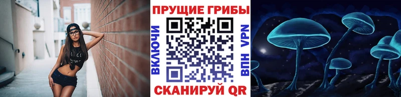 Галлюциногенные грибы мицелий  Купить где  Муравленко 